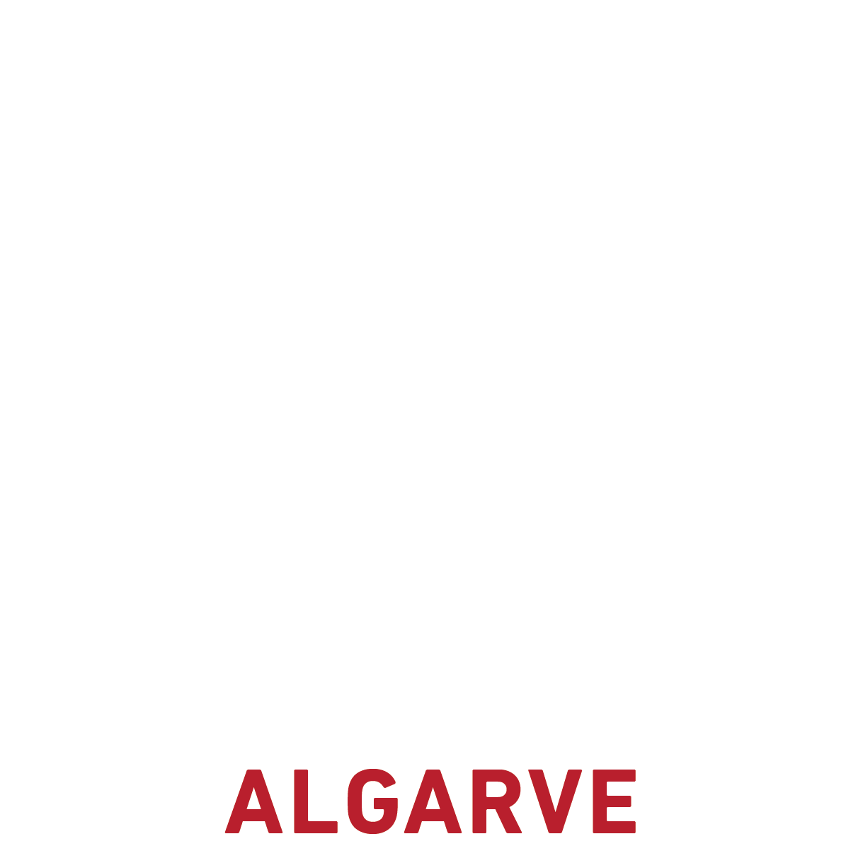 Aceleradora de Comércio Digital Algarve